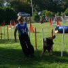 agility verriere 2011-10-01